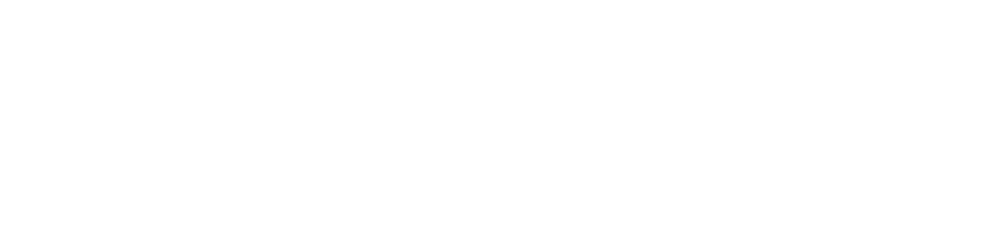 Horizon Healthcare